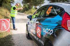 Rallye Terre de Lozère 2018, avec les équipages Junior